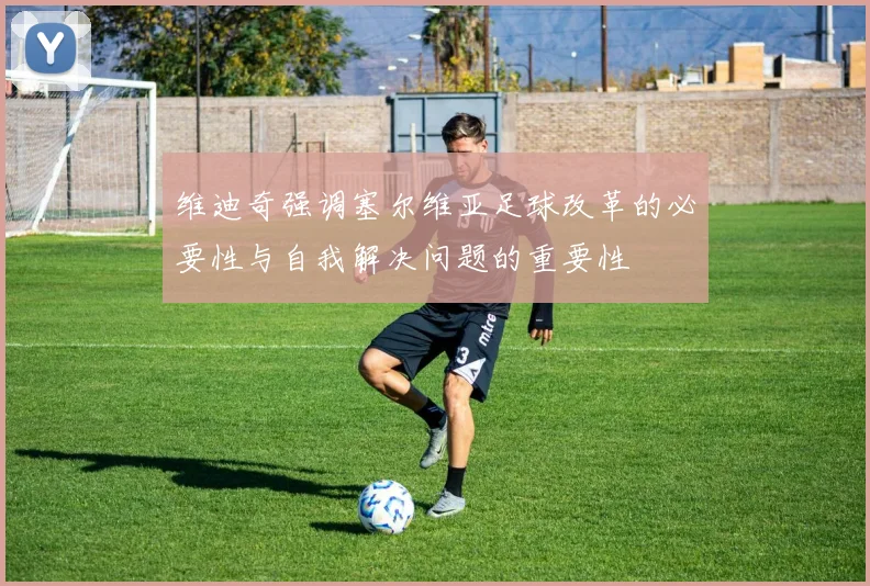 维迪奇强调塞尔维亚足球改革的必要性与自我解决问题的重要性
