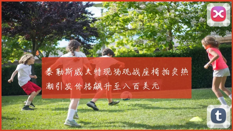 泰勒斯威夫特现场观战座椅拍卖热潮引发价格飙升至八百美元